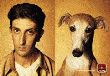 chien