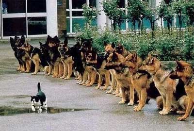 courage